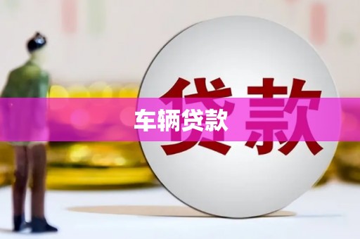 红安车辆贷款