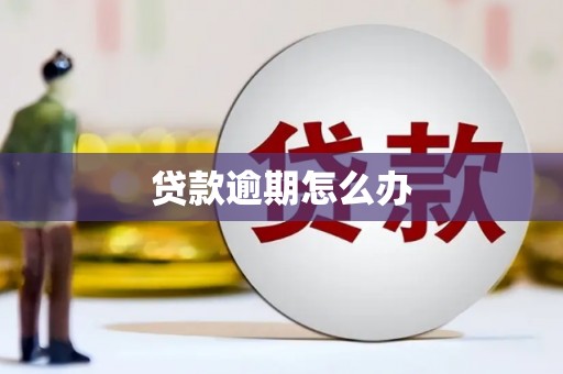 红安贷款逾期怎么办