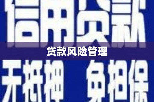 红安贷款风险管理