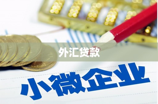 红安外汇贷款