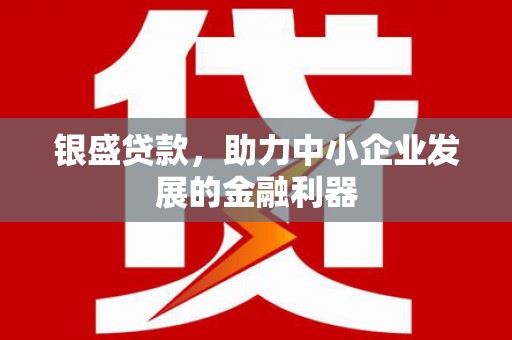 红安银盛贷款，助力中小企业发展的金融利器