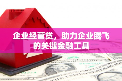 红安企业经营贷，助力企业腾飞的关键金融工具
