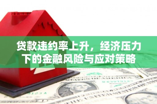 红安贷款违约率上升，经济压力下的金融风险与应对策略