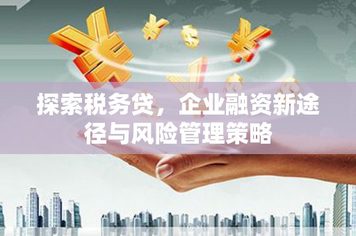 红安探索税务贷，企业融资新途径与风险管理策略