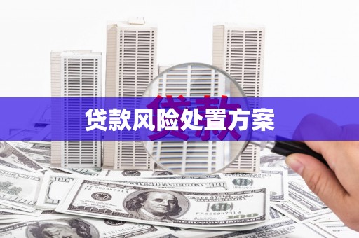 红安贷款风险处置方案