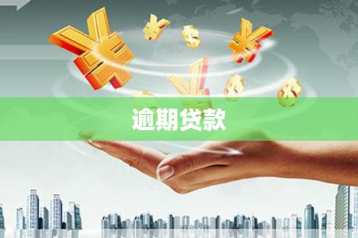 红安逾期贷款