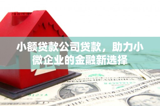 红安小额贷款公司贷款，助力小微企业的金融新选择