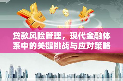 红安贷款风险管理，现代金融体系中的关键挑战与应对策略