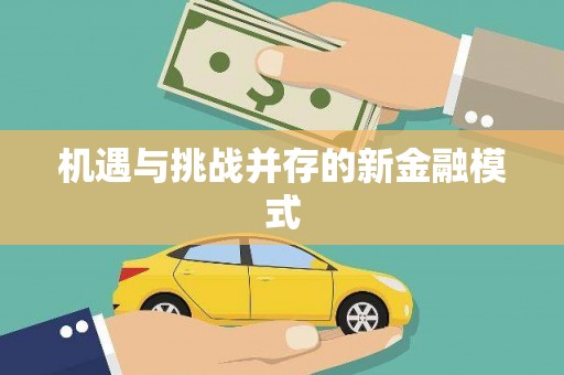 红安机遇与挑战并存的新金融模式