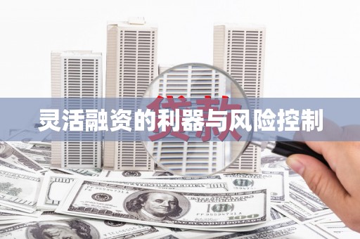 红安灵活融资的利器与风险控制