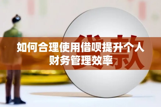 红安如何合理使用借呗提升个人财务管理效率