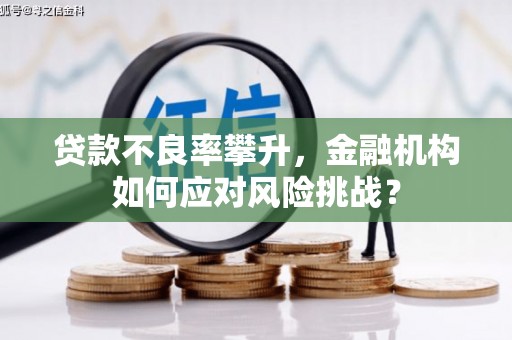 红安贷款不良率攀升，金融机构如何应对风险挑战？