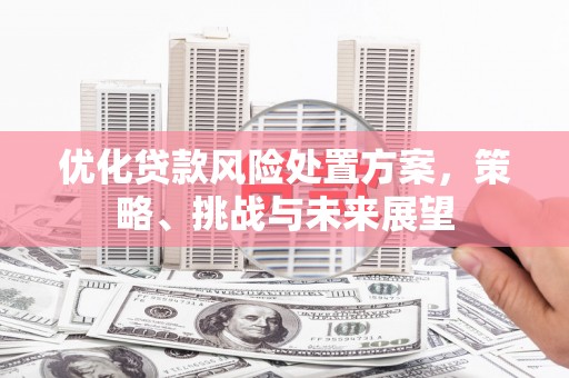 红安优化贷款风险处置方案，策略、挑战与未来展望