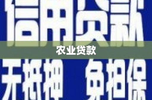 红安农业贷款