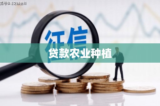 红安贷款农业种植