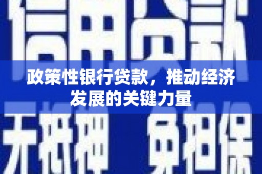 红安政策性银行贷款，推动经济发展的关键力量