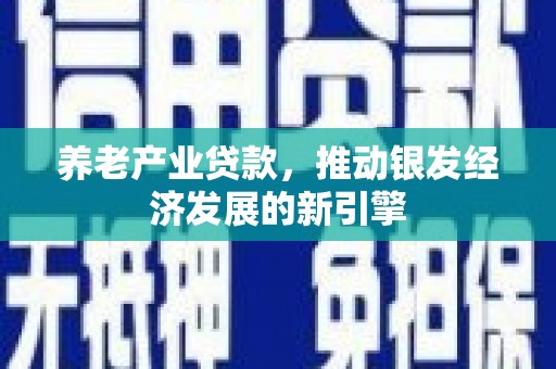 红安养老产业贷款，推动银发经济发展的新引擎