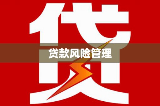红安贷款风险管理