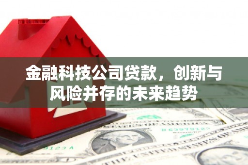 红安金融科技公司贷款，创新与风险并存的未来趋势