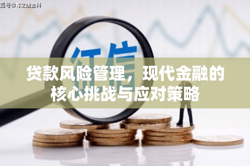 红安贷款风险管理，现代金融的核心挑战与应对策略