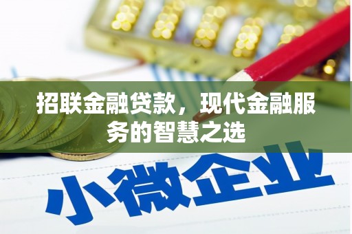 红安招联金融贷款，现代金融服务的智慧之选