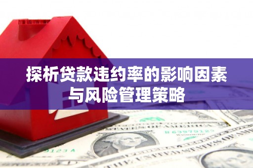 红安探析贷款违约率的影响因素与风险管理策略