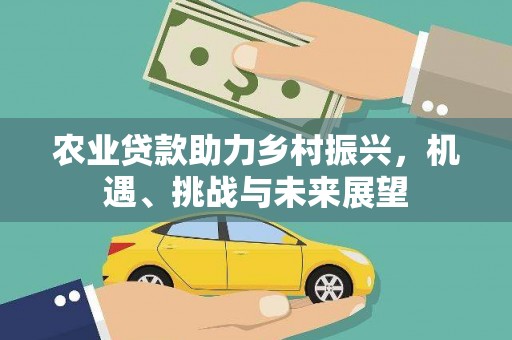 红安农业贷款助力乡村振兴，机遇、挑战与未来展望