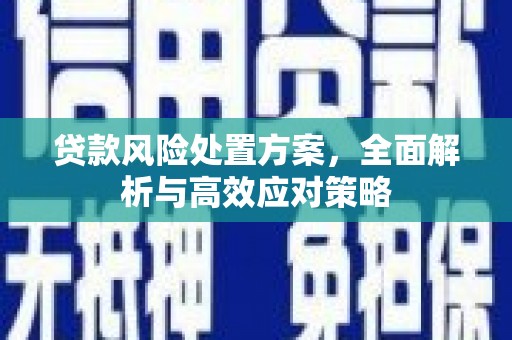 红安贷款风险处置方案，全面解析与高效应对策略