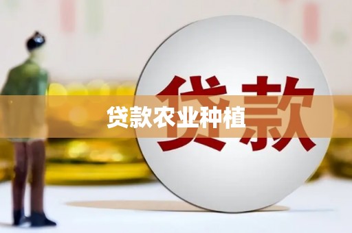 红安贷款农业种植