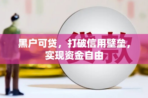 红安黑户可贷，打破信用壁垒，实现资金自由