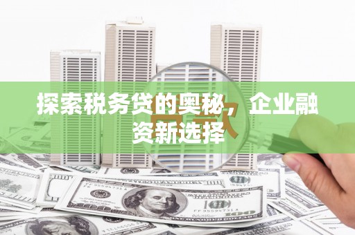 红安探索税务贷的奥秘，企业融资新选择