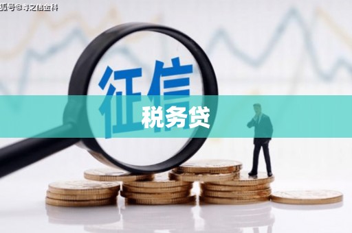 红安税务贷