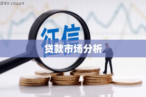 红安贷款市场分析