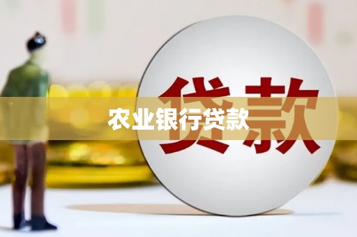 红安农业银行贷款