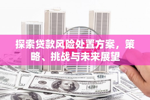红安探索贷款风险处置方案，策略、挑战与未来展望