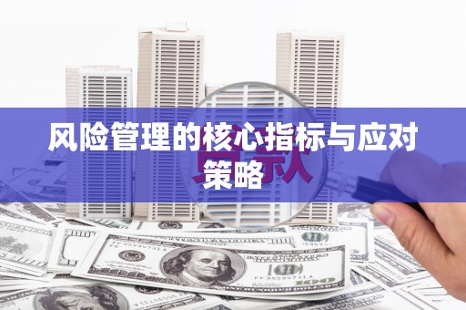 红安风险管理的核心指标与应对策略