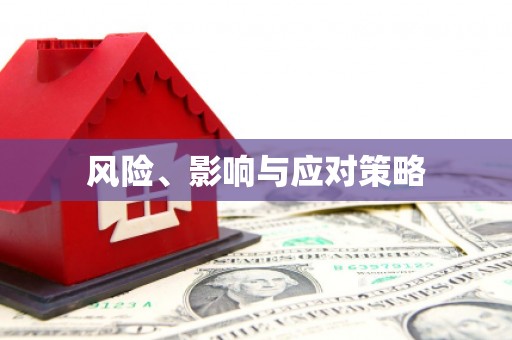 红安风险、影响与应对策略