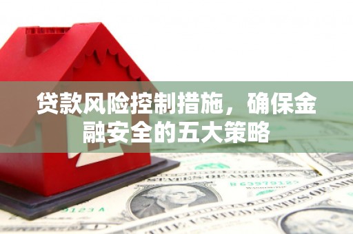 红安贷款风险控制措施，确保金融安全的五大策略