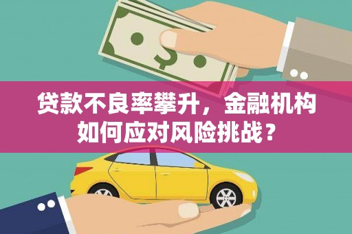 红安贷款不良率攀升，金融机构如何应对风险挑战？