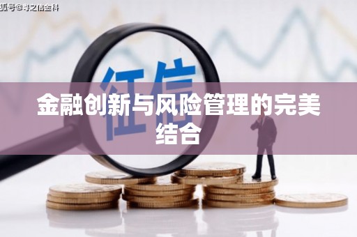 红安金融创新与风险管理的完美结合