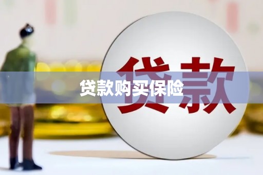 红安贷款购买保险
