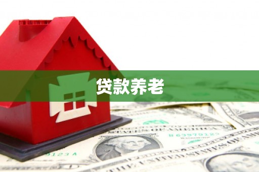 红安贷款养老