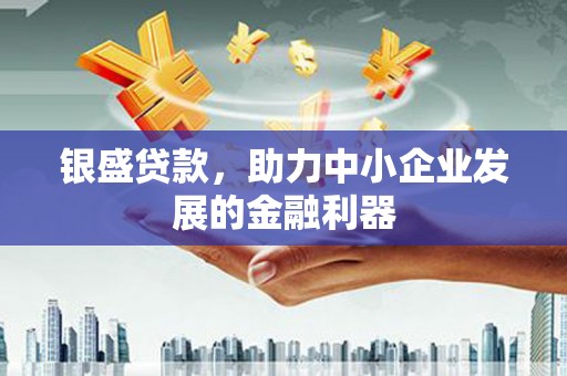 红安银盛贷款，助力中小企业发展的金融利器