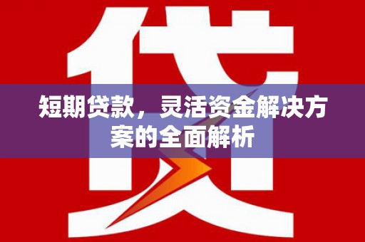 红安短期贷款，灵活资金解决方案的全面解析