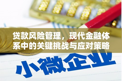 红安贷款风险管理，现代金融体系中的关键挑战与应对策略