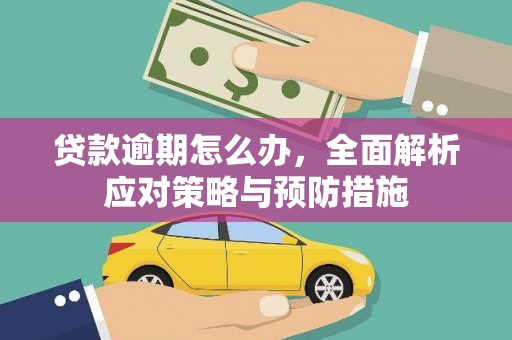 红安贷款逾期怎么办，全面解析应对策略与预防措施