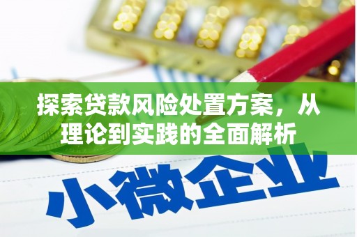 红安探索贷款风险处置方案，从理论到实践的全面解析