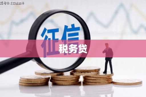 红安税务贷