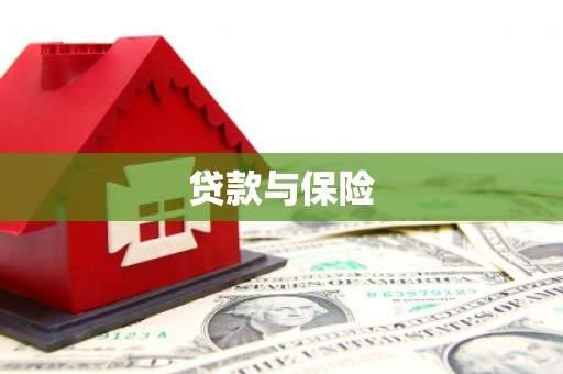 红安贷款与保险