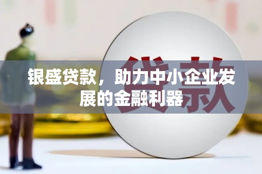红安银盛贷款，助力中小企业发展的金融利器